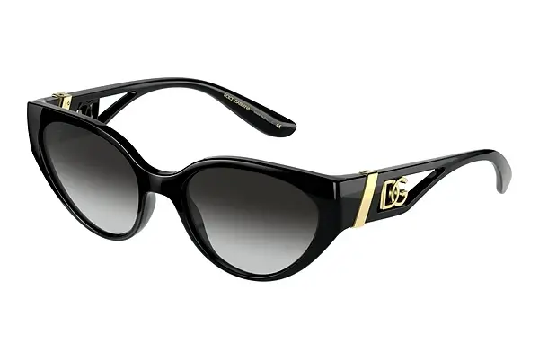 Sonnenbrille Dolce & Gabbana DG6146 501/8G