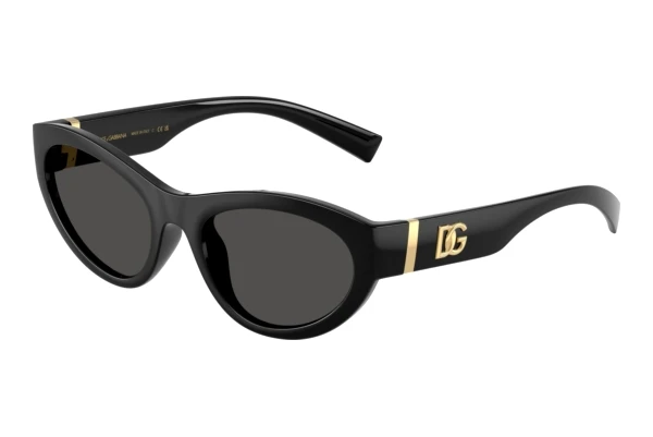 Sonnenbrille Dolce & Gabbana DG6207 501/87