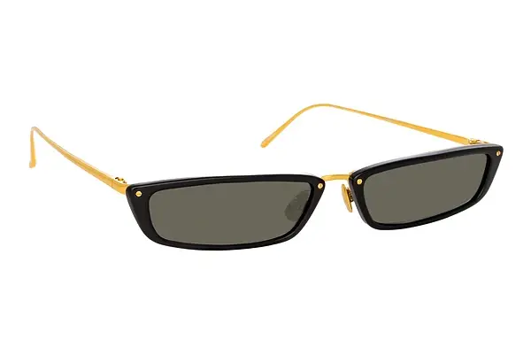 Sonnenbrille Linda Farrow LFL838 C1