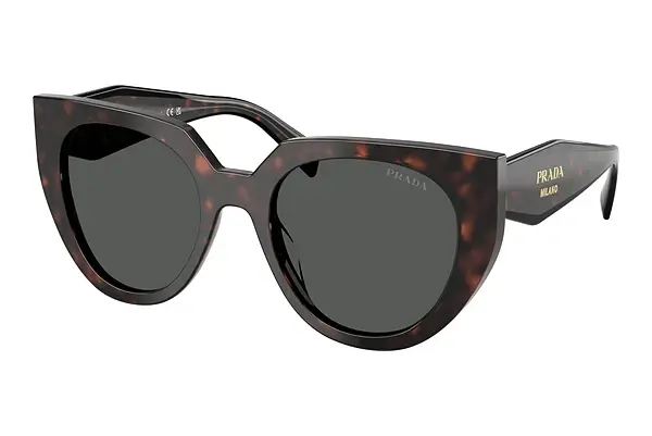 Sonnenbrille Prada PR 14WS 17N40L