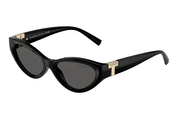 Sonnenbrille Tiffany TF4225U 8001S4