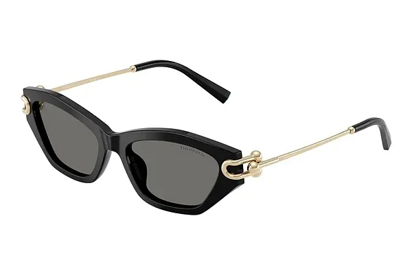 Sonnenbrille Tiffany TF4231U 800181