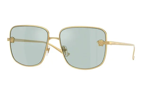 Sonnenbrille Versace VE2282 10029C