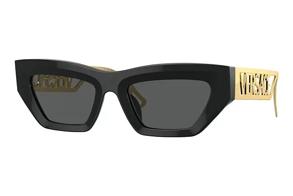 Sonnenbrille Versace VE4432U GB1/87