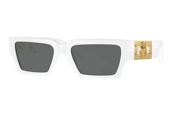 Sonnenbrille Versace VE4459 314/87
