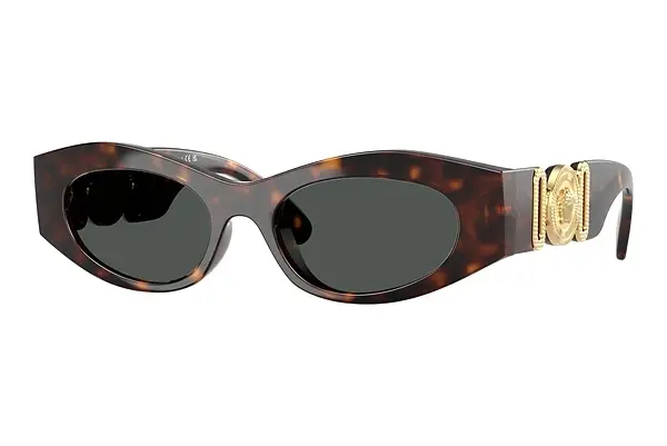 Sonnenbrille Versace VE4480U 108/87