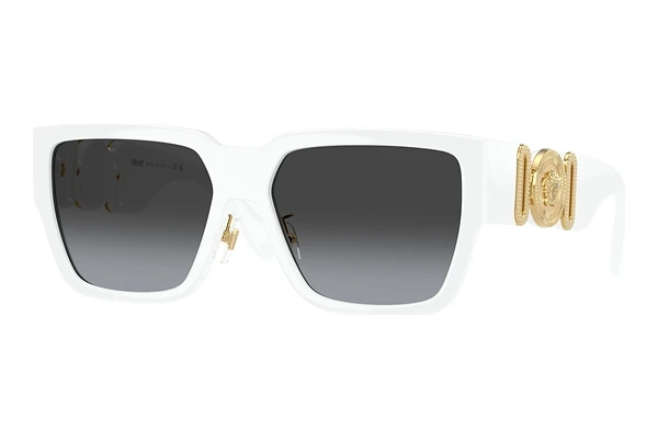 Sonnenbrille Versace VE4483D 314/8G