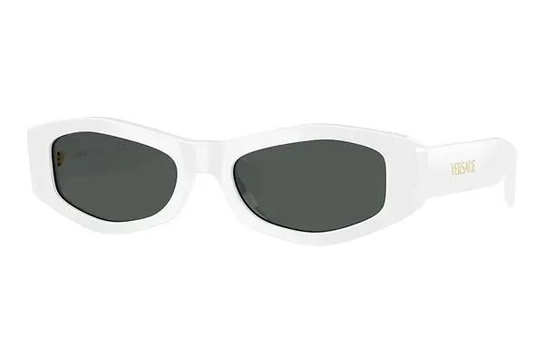 Sonnenbrille Versace VE4487 314/87
