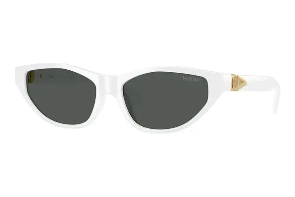 Sonnenbrille Versace VE4491U 314/87