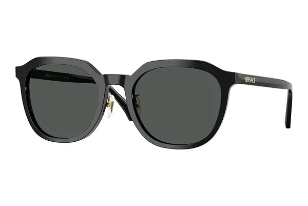 Sonnenbrille Versace VE4493D GB1/87