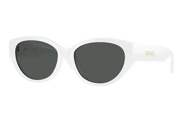 Sonnenbrille Versace VE4495D 314/87