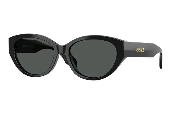 Sonnenbrille Versace VE4495D GB1/87