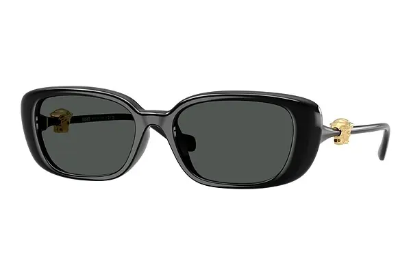 Sonnenbrille Versace VE4504D GB1/87