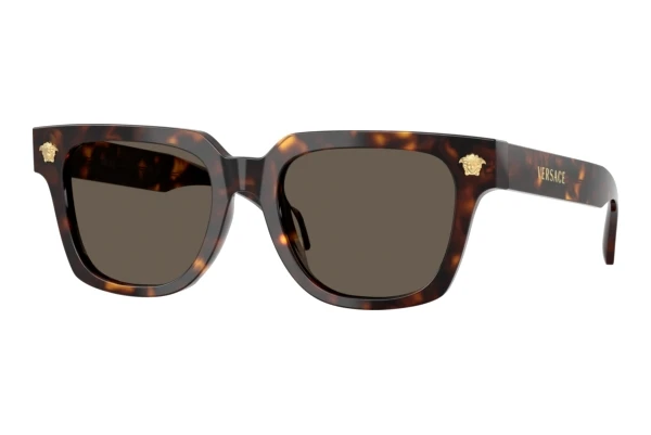 Sonnenbrille Versace VE4510U 108/3