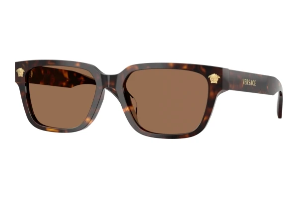Sonnenbrille Versace VE4513D 108/73